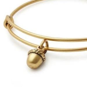 Acorn alex and ani bracelet hot sale