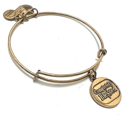 Completely blessed alex and ani store