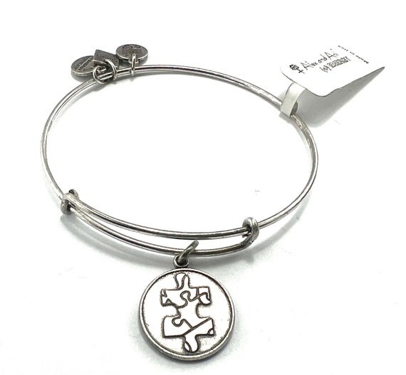 Alex and Ani Piece of the Puzzle Charm Bracelet Slide Bangle