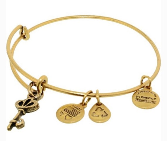 Alex and ani shop skeleton key bracelet