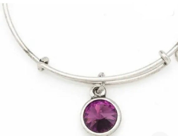 Alex and ani february birthstone shop