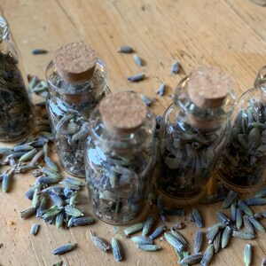 Peut inclure: Cinq petites bouteilles en verre avec des bouchons en li&egrave;ge remplies de boutons de lavande s&eacute;ch&eacute;s. Les bouteilles sont dispos&eacute;es en demi-cercle sur une surface en bois.