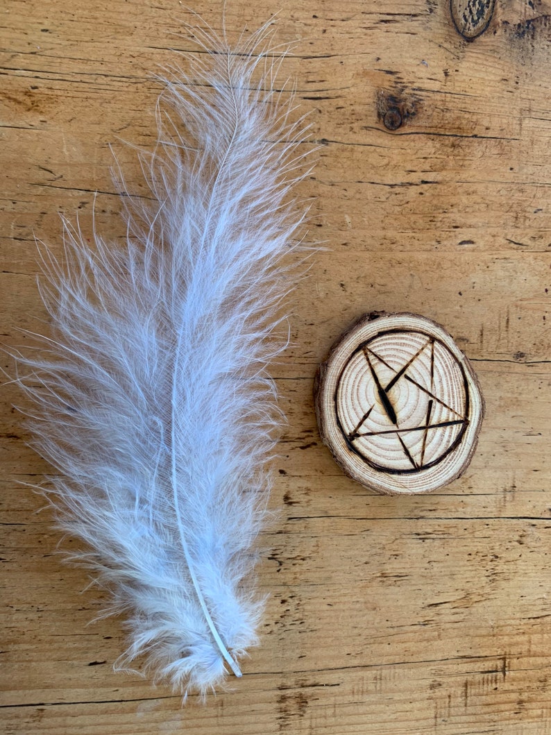 May include: A white feather and a wooden circle with a carved pentagram design.