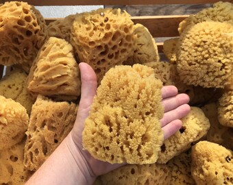 real sponge for bath