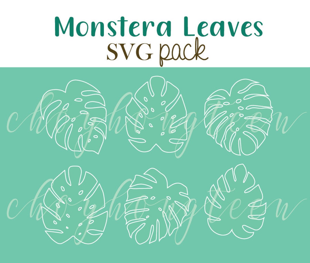 Monstera Leaves SVG Pack, Plant SVG Cut File, Monstera Outline SVG