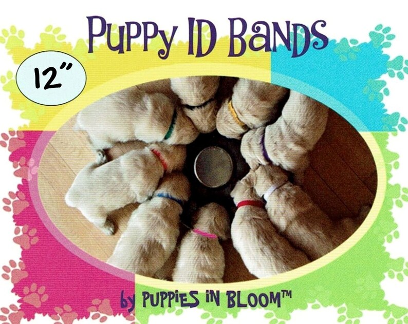 Puppy ID Bands 8 and 12 Inch Two Pack Litter Identification - Etsy