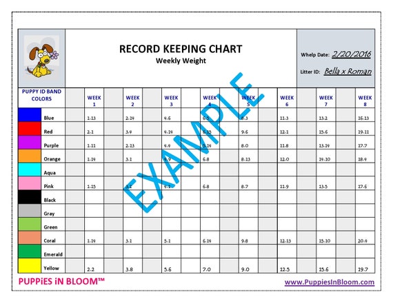 Weight Record Chart