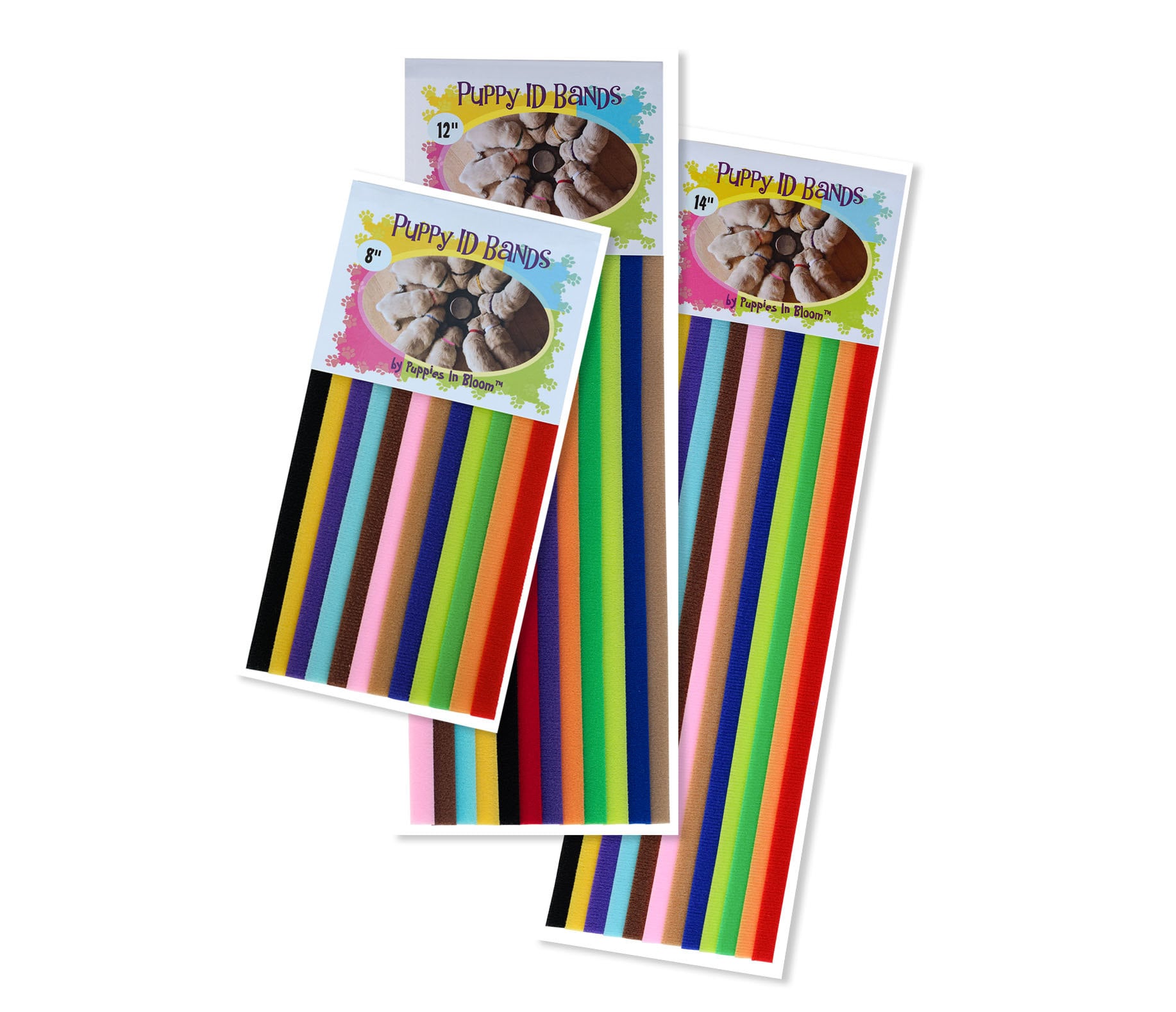 Puppy ID Bands Litter Collars Choose From 3 Sizes Etsy