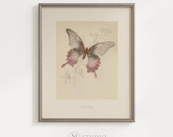 Digitale download vintage vlinder kunstafdruk minimalistische botanische wanddecoratie