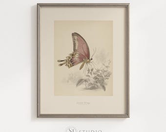 Digitale vlinder muurkunst print vintage botanisch neutraal slaapkamer decor downloaden