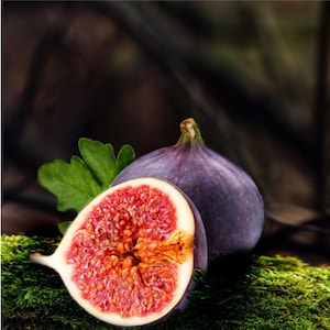 May include: A halved fig with a red interior and a whole purple fig, both on a bed of green moss.