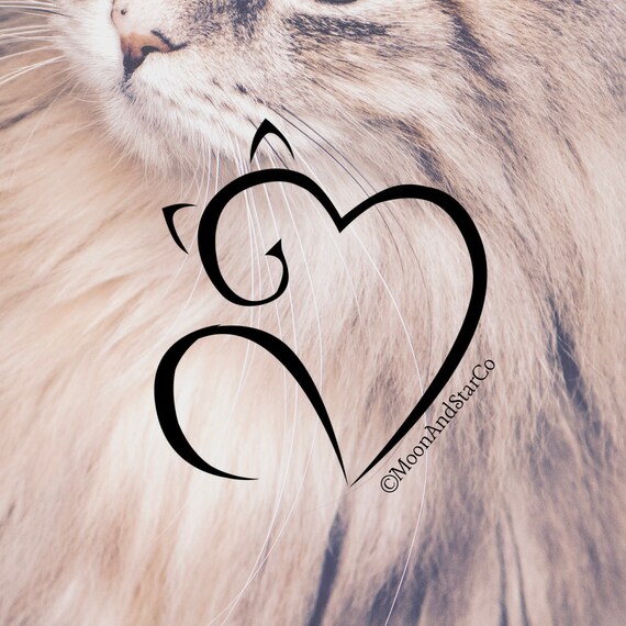 kind hearted cat lover