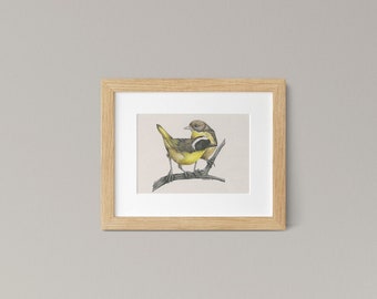 Common Yellowthroat Bird Art Print