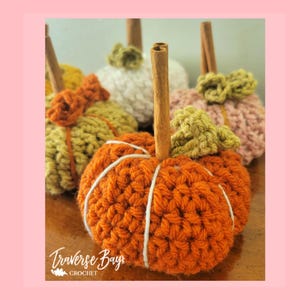 Crochet Textured Pumpkin decor pattern PDF instant download present gift craft shows
