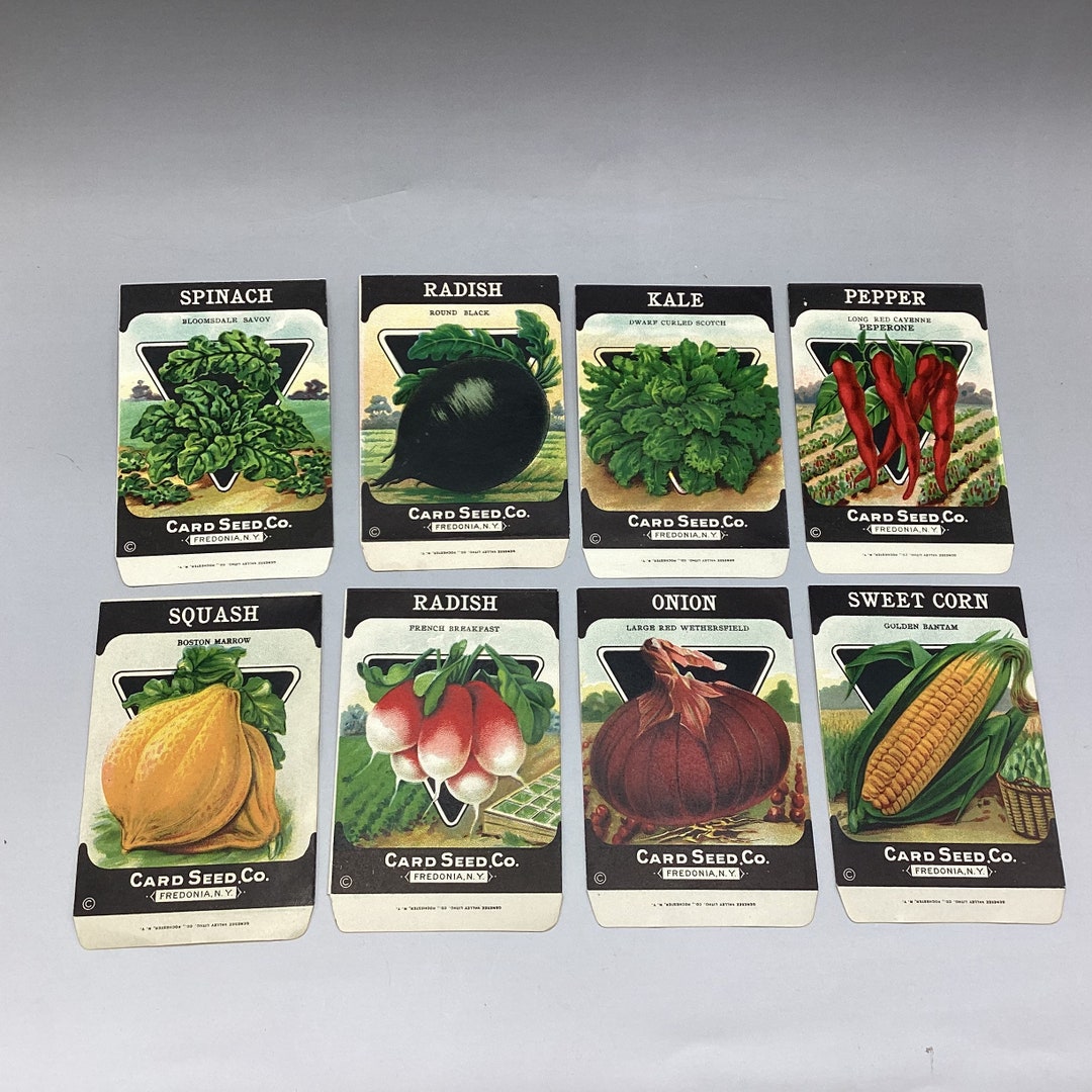 Vintage Vegetable Seed Packet Envelopes * New Old Stock - Etsy