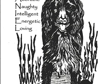 S is For Spaniel A4 Unframed Hand Pulled Screen Print From Original Artwork. Gift For a Dog Lover.