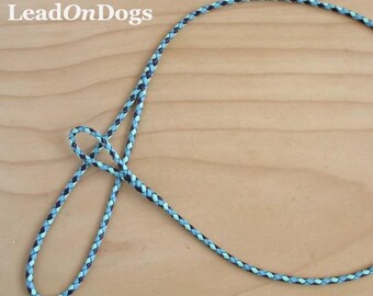 Lace Dog Show Loop Lead Bright Blue, Purple & Mint - LeadOnDogs Jeddah Loop