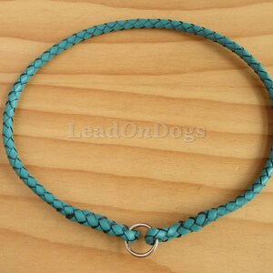 Pu&ograve; includere: Collare per cani in pelle intrecciata turchese con un anello argentato.