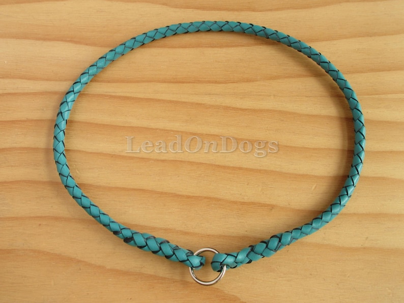 Pu&ograve; includere: Collare per cani in pelle intrecciata turchese con un anello argentato.