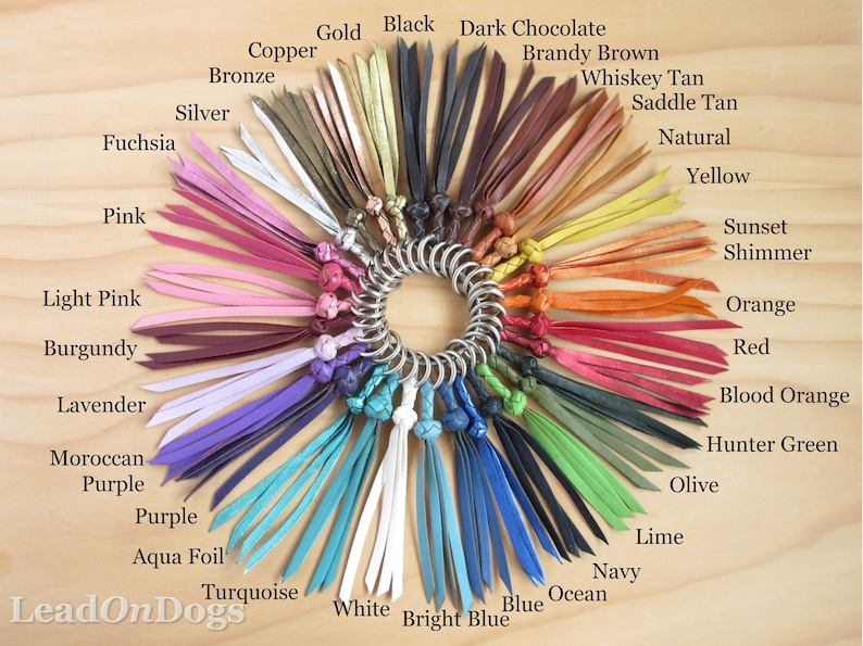Puede incluir: Una variedad de colores de cord&oacute;n de cuero mostrados en una superficie de madera. Los cordones est&aacute;n dispuestos en un c&iacute;rculo con un anillo de metal en el centro. Los colores incluyen negro, marr&oacute;n, rojo, naranja, amarillo, verde, azul, morado, rosa y blanco.