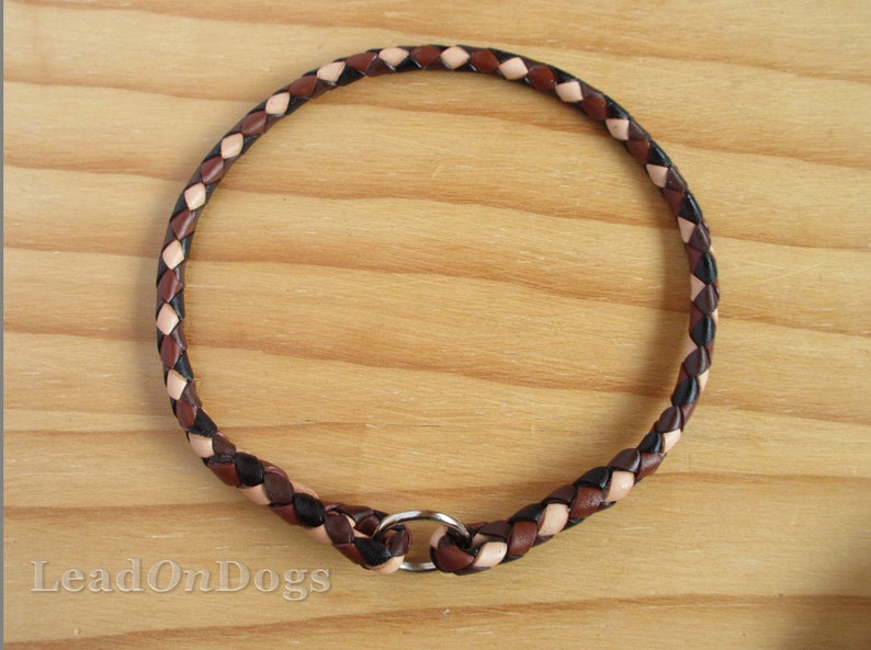Pu&ograve; includere: Un collare per cani in pelle intrecciata nero, marrone e rosa chiaro con un anello a D argentato.