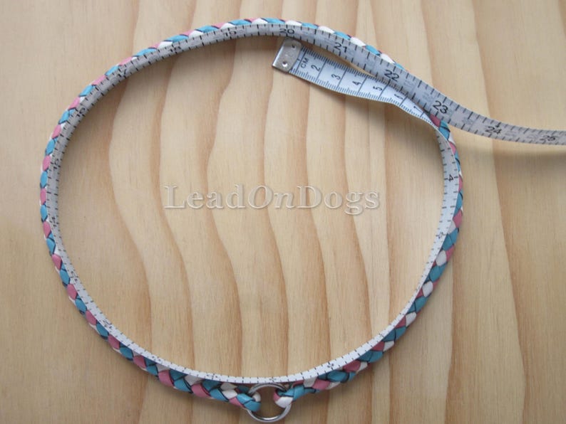 Pu&ograve; includere: Un collare per cani in pelle intrecciata bianco, blu e rosa con un anello a D argentato. Il collare &egrave; misurato con un metro a nastro che indica 20, 21, 22, 23, 24, 25, 26, 27, 28, 29, 30, 31, 32, 33, 34, 35, 36, 37, 38, 39, 40, 41, 42, 43, 44, 45, 46, 47, 48, 49, 50, 51, 52, 53, 54, 55, 56, 57, 58, 59, 60 pollici.