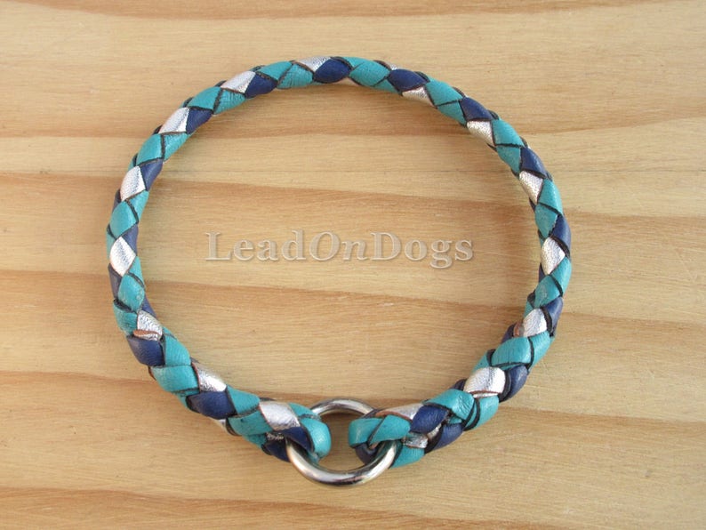 Pu&ograve; includere: Un collare per cani in pelle intrecciata color turchese, argento e blu navy con un anello a D argentato.