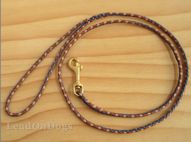 Design Your Own Lace Kangaroo Leather Dog Show Lead Braided Etsy Australia