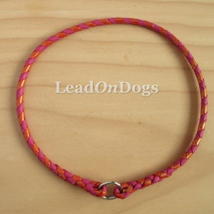 Pu&ograve; includere: Un collare per cani in pelle intrecciata rosa e arancione con un anello a D argentato.