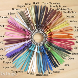 Pu&ograve; includere: Una variet&agrave; di colori di cordoncino in pelle mostrati su una superficie di legno. I cordoncini sono disposti in un cerchio con un anello di metallo al centro. I colori includono nero, bianco, rosso, blu, verde, marrone, rosa, viola e arancione. Il testo "LeadOnDogs" &egrave; visibile nell'angolo in basso a sinistra dell'immagine.