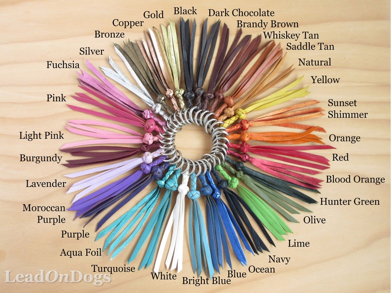 Pu&ograve; includere: Una variet&agrave; di colori di cordoncino in pelle mostrati su una superficie di legno. I cordoncini sono disposti in un cerchio con un anello di metallo al centro. I colori includono nero, bianco, rosso, blu, verde, marrone, rosa, viola e arancione. Il testo "LeadOnDogs" &egrave; visibile nell'angolo in basso a sinistra dell'immagine.