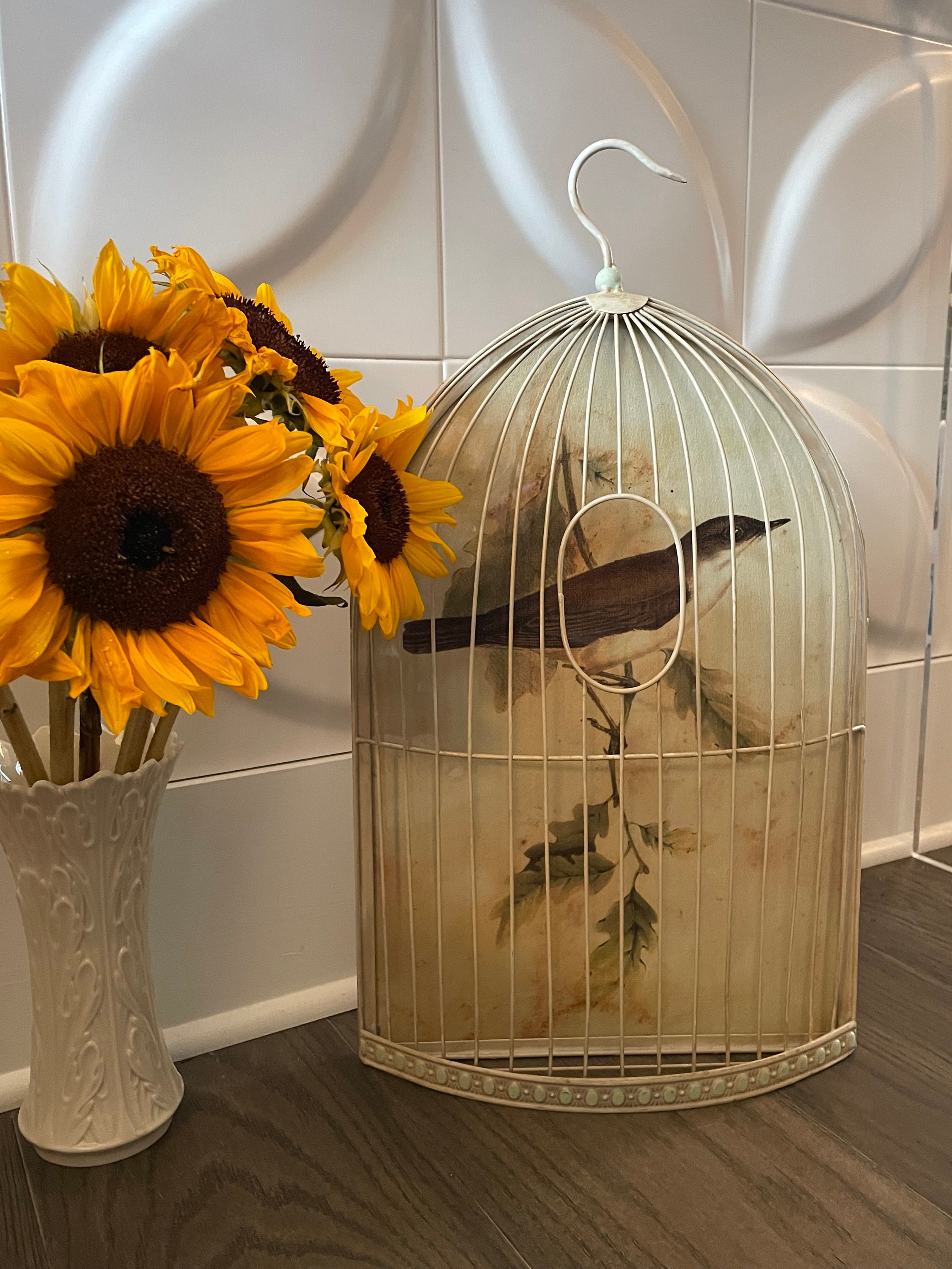 Vintage French Style Half Metal Bird Cage With Bird Art Print