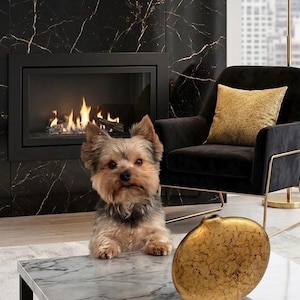 May include: A small Yorkshire Terrier dog with tan and black fur standing behind a white marble coffee table next to a round, textured gold-colored decorative vase with a crackled finish and a narrow neck opening at the top.