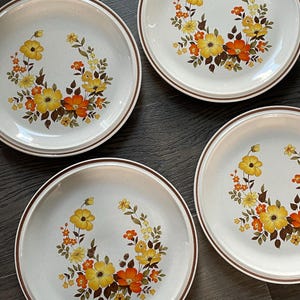 May include: Set of four white ceramic dinner plates with a brown rim. Each plate features a floral design with yellow, orange, and brown flowers.