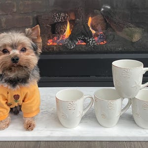 May include: A small dog wearing an orange sweater with a floral design sits next to four white ceramic mugs. The mugs have a seashell pattern and a brown rim. A fireplace with a burning fire is in the background.