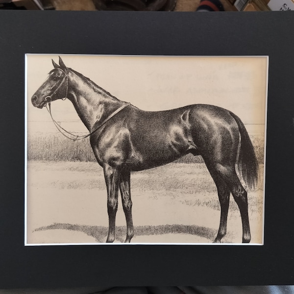 1939 Horse Print ,  EQUIPOISE, the Ideal Thoroughbred pen and ink book print by C W Anderson. 14" by 11" professionally matted.