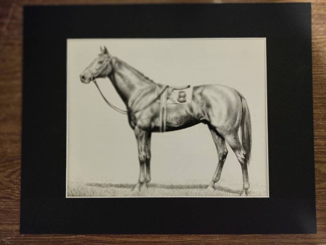 K. Cantarella Thoroughbred 馬の彫刻 il_1080xN.4402861300_bjxo.jpg