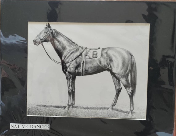 Native Dancer Thoroughbred Horse Print by C.W. Anderson (11x14