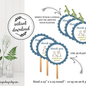 Piante succulente Picks, bambino doccia impianto pali, orologio me Grow marcatori di piante, pianta tag, pianta partito favore tag, B5007