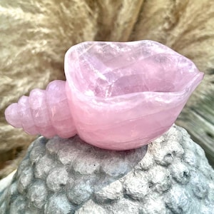 Rose Quartz Conch Shell Bowl, Natural Hand Carved Crystal for Home Decor, Metaphysical Cleansing Energy, Recharging, Spiritual Gift