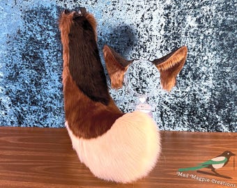 Tri-Color Shepherd GSD Ears and Tail Set