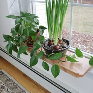 Solid Hardwood Plant Window Perch - Windowsill Extender - Multiple Sizes - No Tools Installation - Ready to Ship
