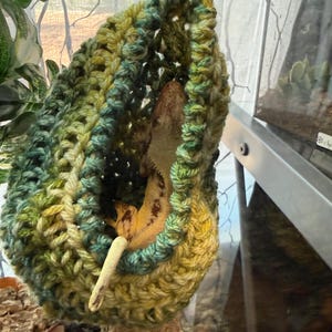 May include: A handmade crochet reptile hammock in shades of green and yellow, suspended in a terrarium. The hammock is designed with a textured, open weave, providing a cozy space for a reptile to rest. The reptile is visible inside the hammock.