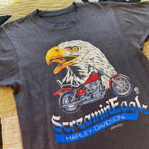 May include: A grey t-shirt featuring a graphic of a Harley-Davidson motorcycle and an eagle with the text "Screamin' Eagle Harley-Davidson".