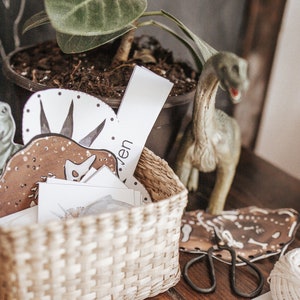 Paleontology Morning Basket Activities, Homeschool Resources, Morning Baskets, Dinosaurs, Fossils, Preschool Activities, Printable