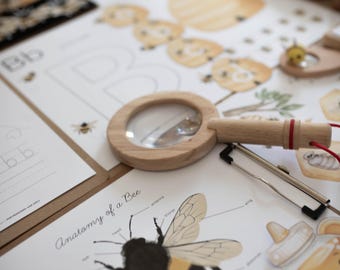 Honey Bee Mini Unit Study, Montessori Nature Printable Pack, Bee Anatomy, Bee Life Cycle,  Homeschool Printables, Digital Download