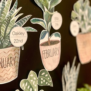 BOHO BOTANY Birthday Display | Birthday Chart | Plants | Boho Plants | Boho Themed Classroom Decor