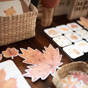 May include: A collection of autumn-themed educational materials including a woven basket filled with illustrated cards featuring a fox, a large die-cut maple leaf with white dots, and a grid board displaying small square cards with seasonal icons.