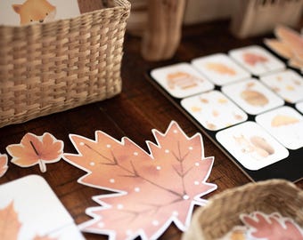 Fall/Autumn Morning Basket, Printable, Montessori, Homeschool Resources, Fall Activities