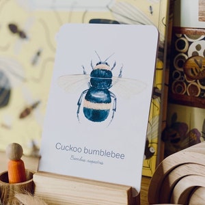 May include: A collection of bee-themed educational toys and books. A card with a watercolor illustration of a cuckoo bumblebee is displayed in a wooden stand. The book cover reads "The Book of Bees" with bee illustrations. Wooden magnifying glass and stacking rings are also visible.
